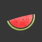 Download Melon VPN v17.7.228 Mod Apk (VIP Features Unlocked)